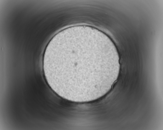 X0000089711516200707201750