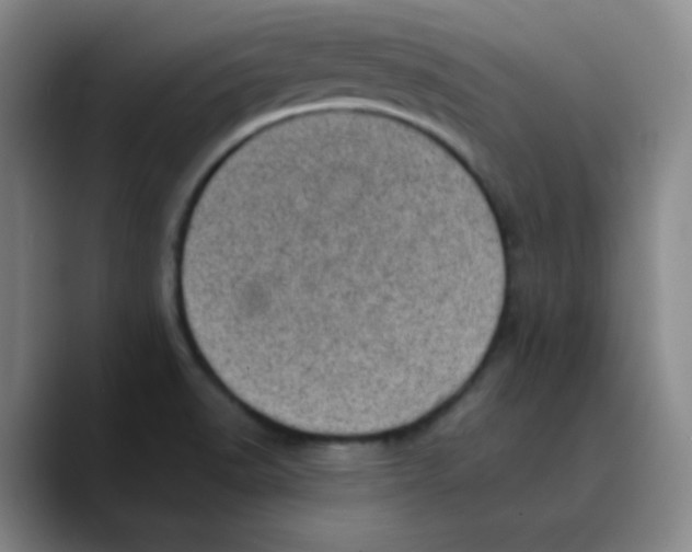 X0000089711518200707201750