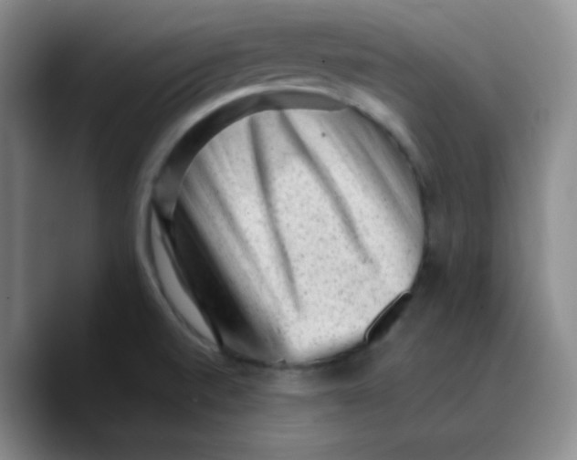 X0000089711520200707201750