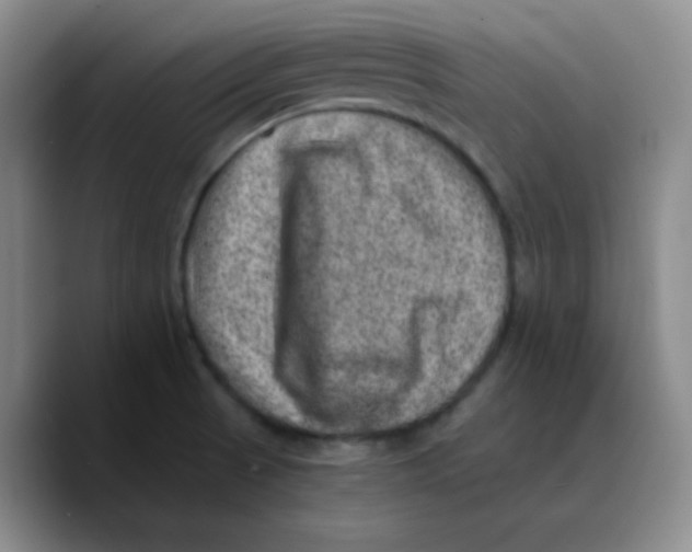 X0000089711521200707201750