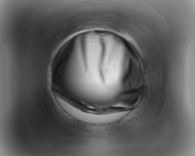 X0000089711524200707201750