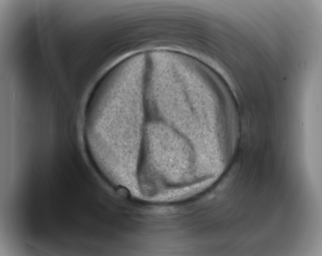 X0000089711525200707201750