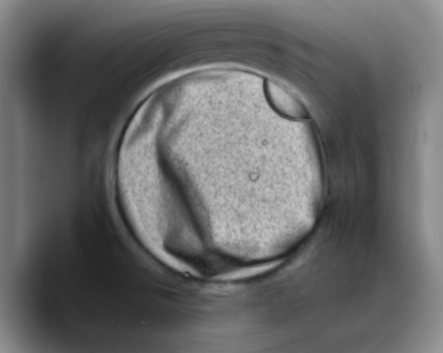 X0000089711526200707201750