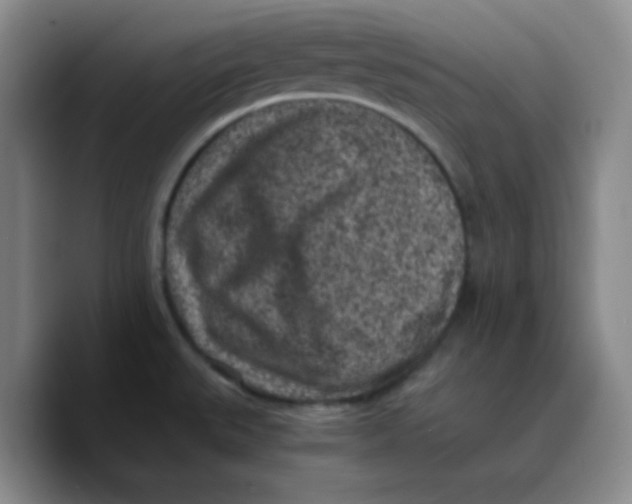 X0000089711527200707201750