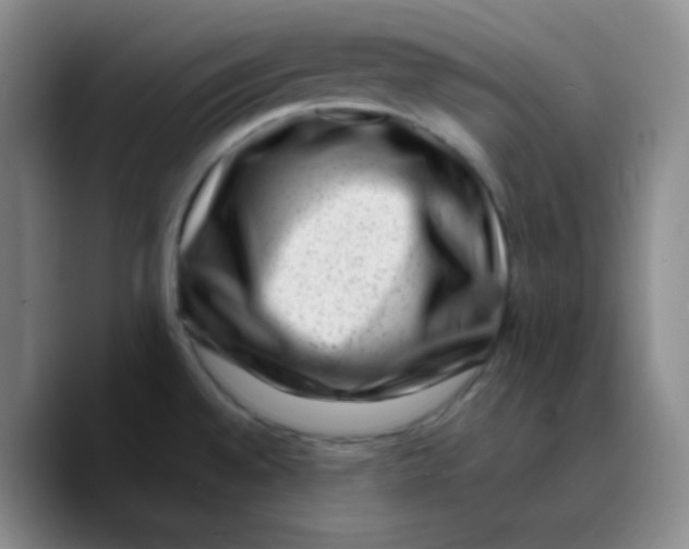 X0000089711528200707201750