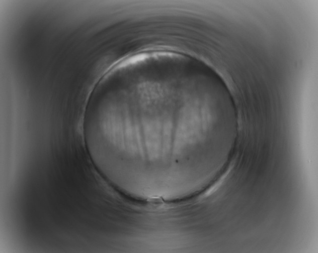 X0000089711529200707201750