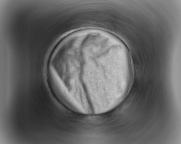 X0000089711531200707201750