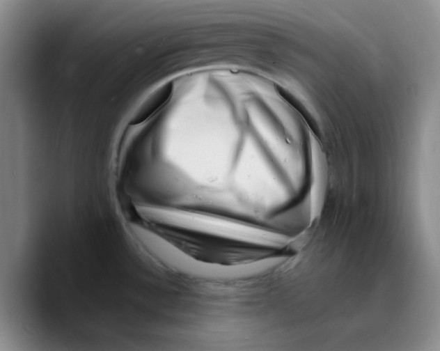 X0000089711532200707201750