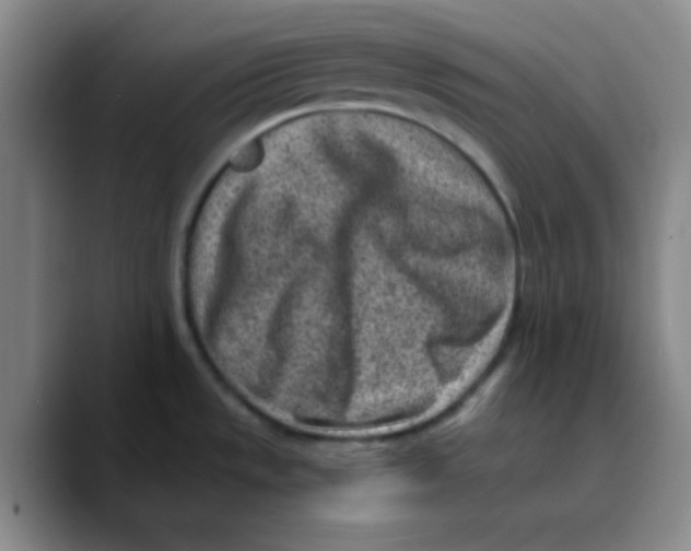 X0000089711533200707201750