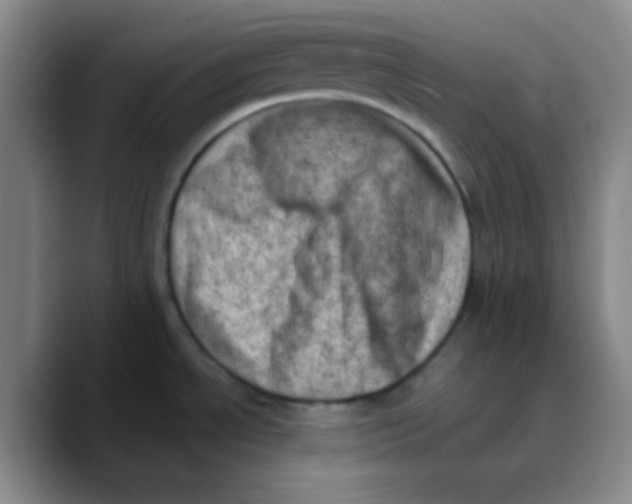 X0000089711534200707201750