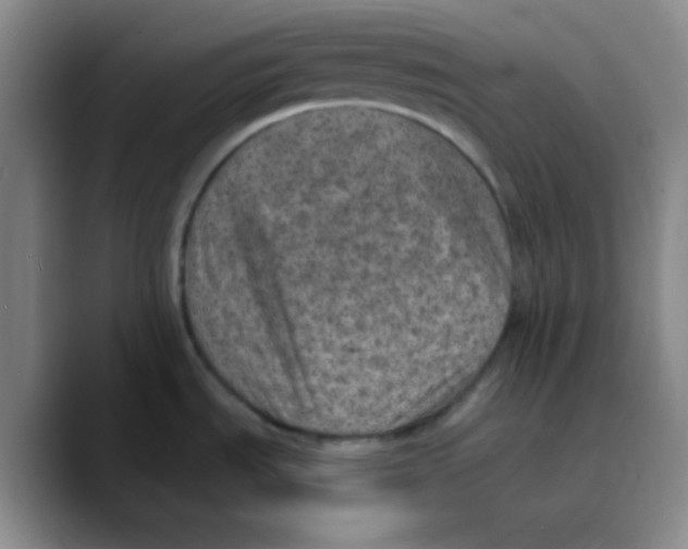 X0000089711535200707201750