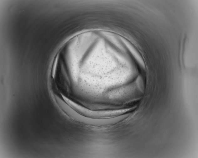 X0000089711536200707201750