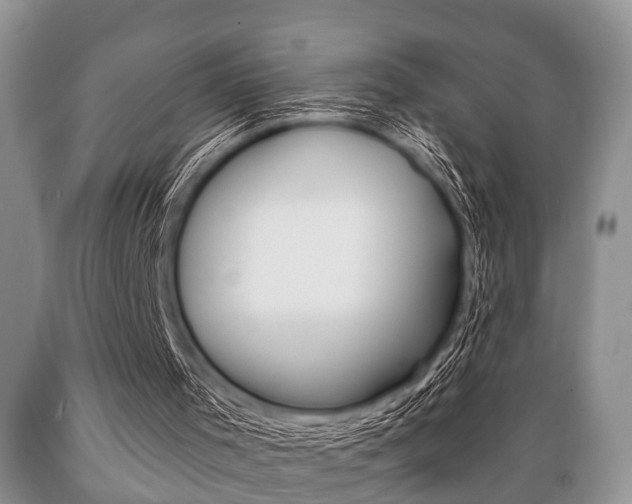 X0000089720001200706210904