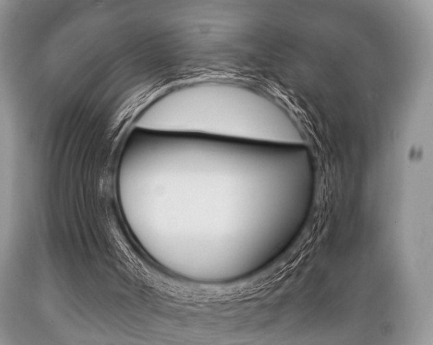 X0000089720002200706210904