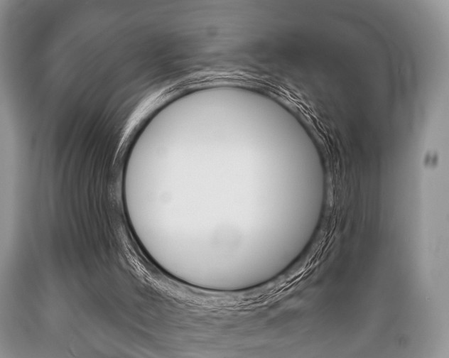 X0000089720004200706210904