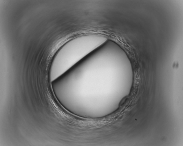 X0000089720005200706210904