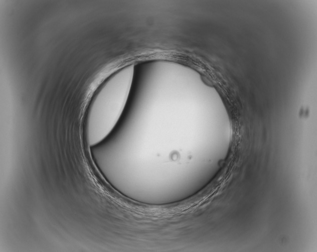 X0000089720006200706210904