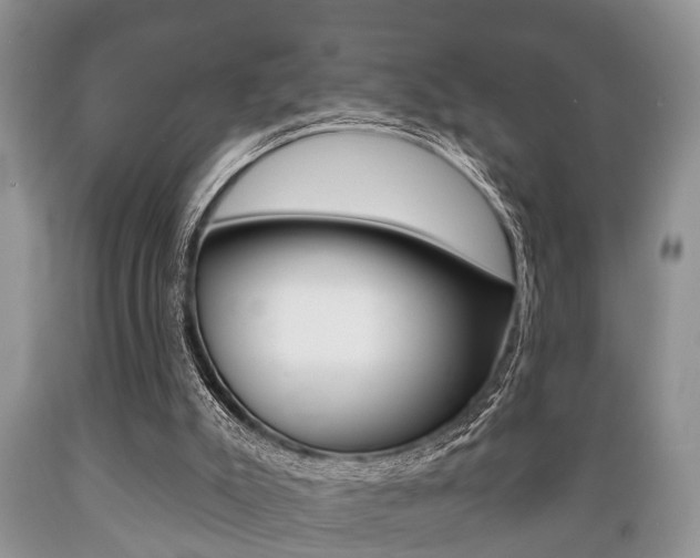 X0000089720007200706210904
