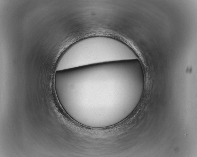 X0000089720010200706210904