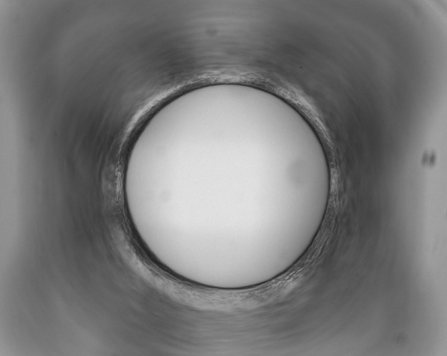 X0000089720012200706210904