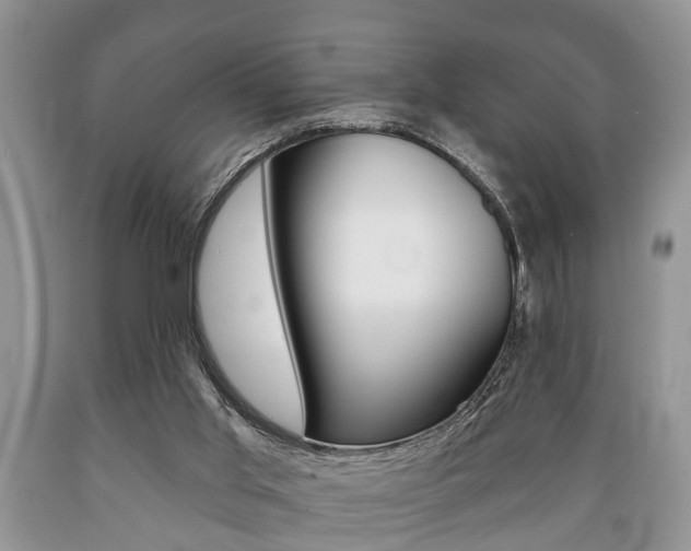 X0000089720013200706210904
