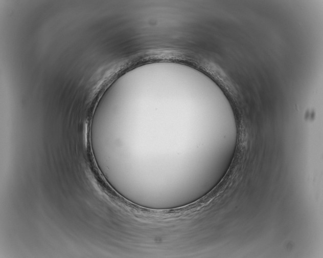 X0000089720014200706210904