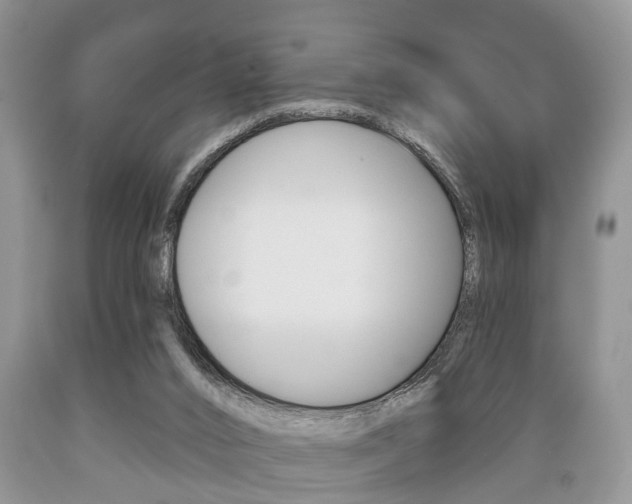 X0000089720016200706210904