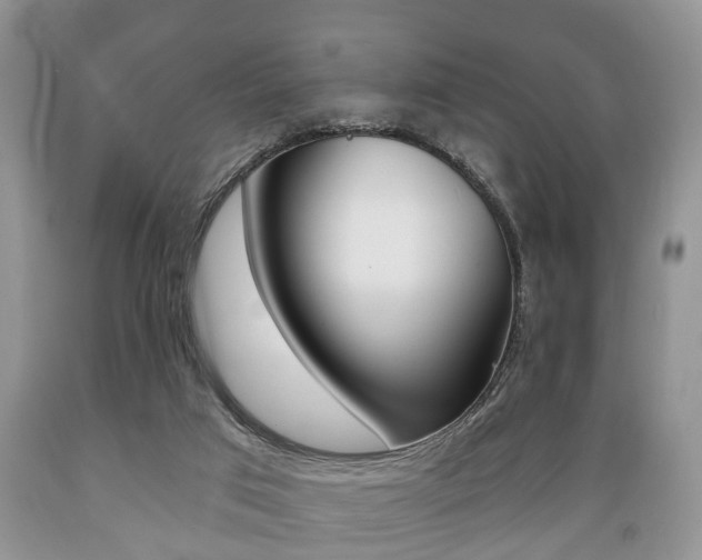 X0000089720017200706210904