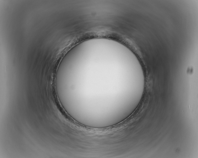 X0000089720018200706210904