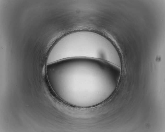 X0000089720019200706210904
