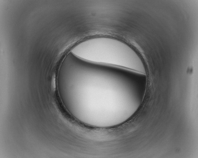 X0000089720020200706210904