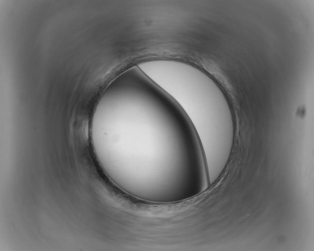 X0000089720021200706210904