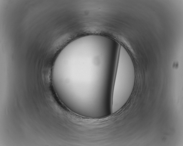 X0000089720023200706210904