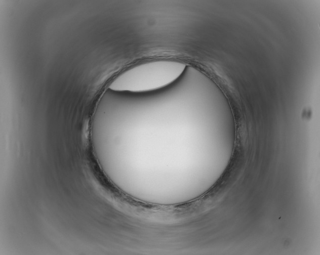 X0000089720024200706210904