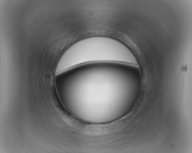 X0000089720025200706210904
