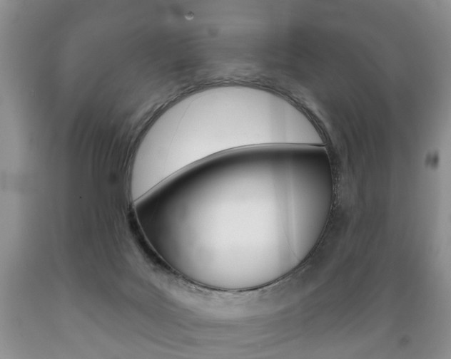 X0000089720027200706210904