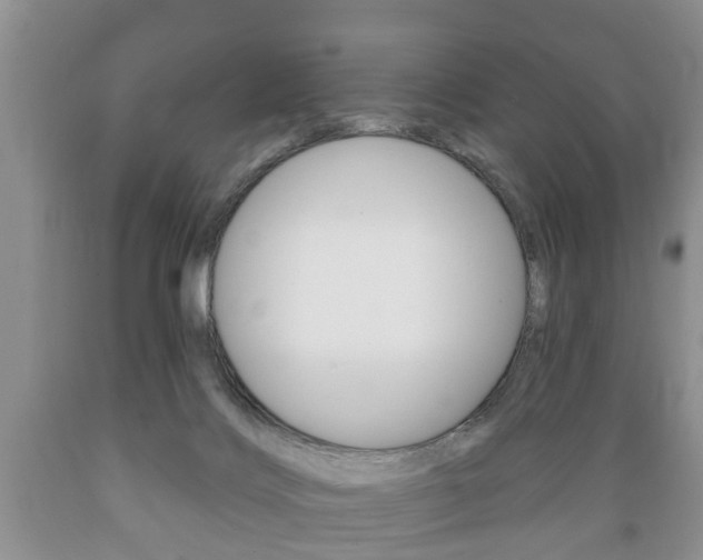 X0000089720028200706210904