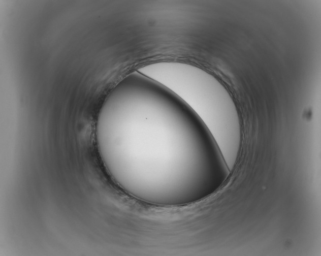 X0000089720029200706210904