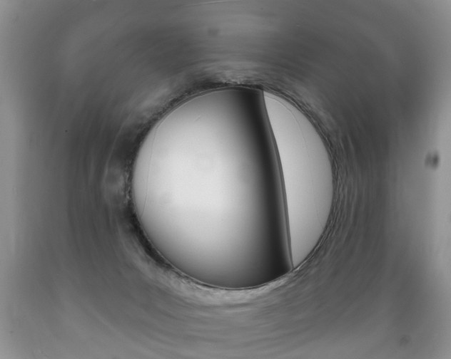 X0000089720031200706210904