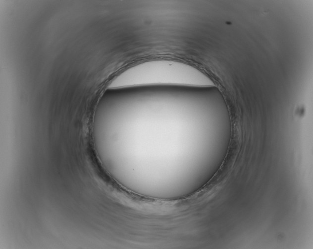 X0000089720032200706210904
