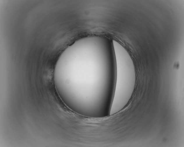 X0000089720033200706210904