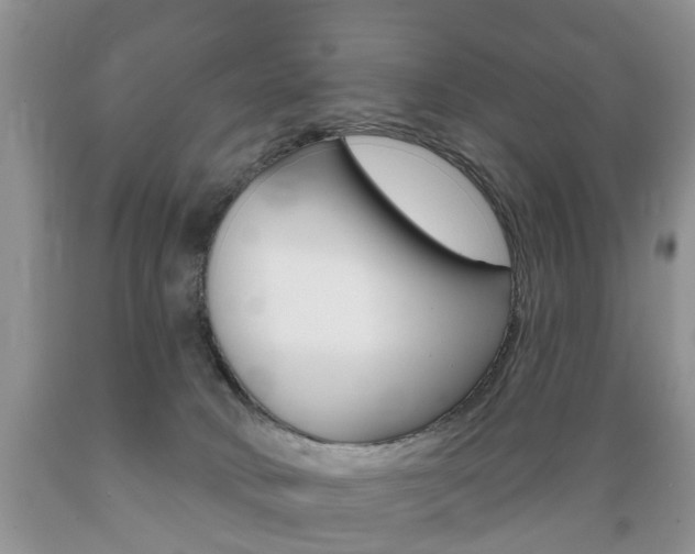 X0000089720034200706210904