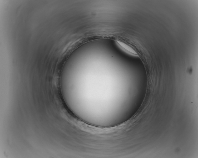 X0000089720035200706210904