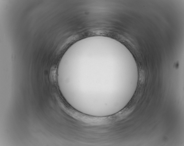 X0000089720036200706210904