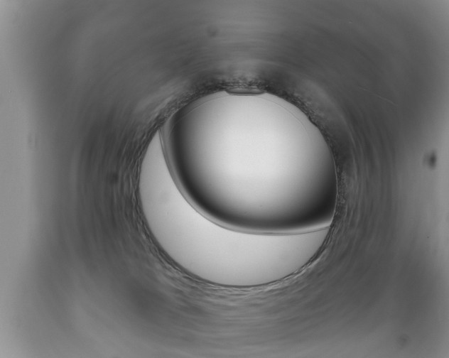 X0000089720037200706210904