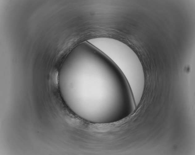 X0000089720041200706210904