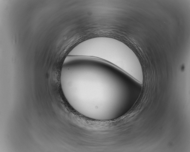 X0000089720044200706210904