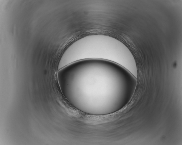 X0000089720045200706210904