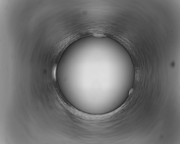 X0000089720047200706210904
