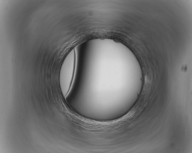 X0000089720048200706210904